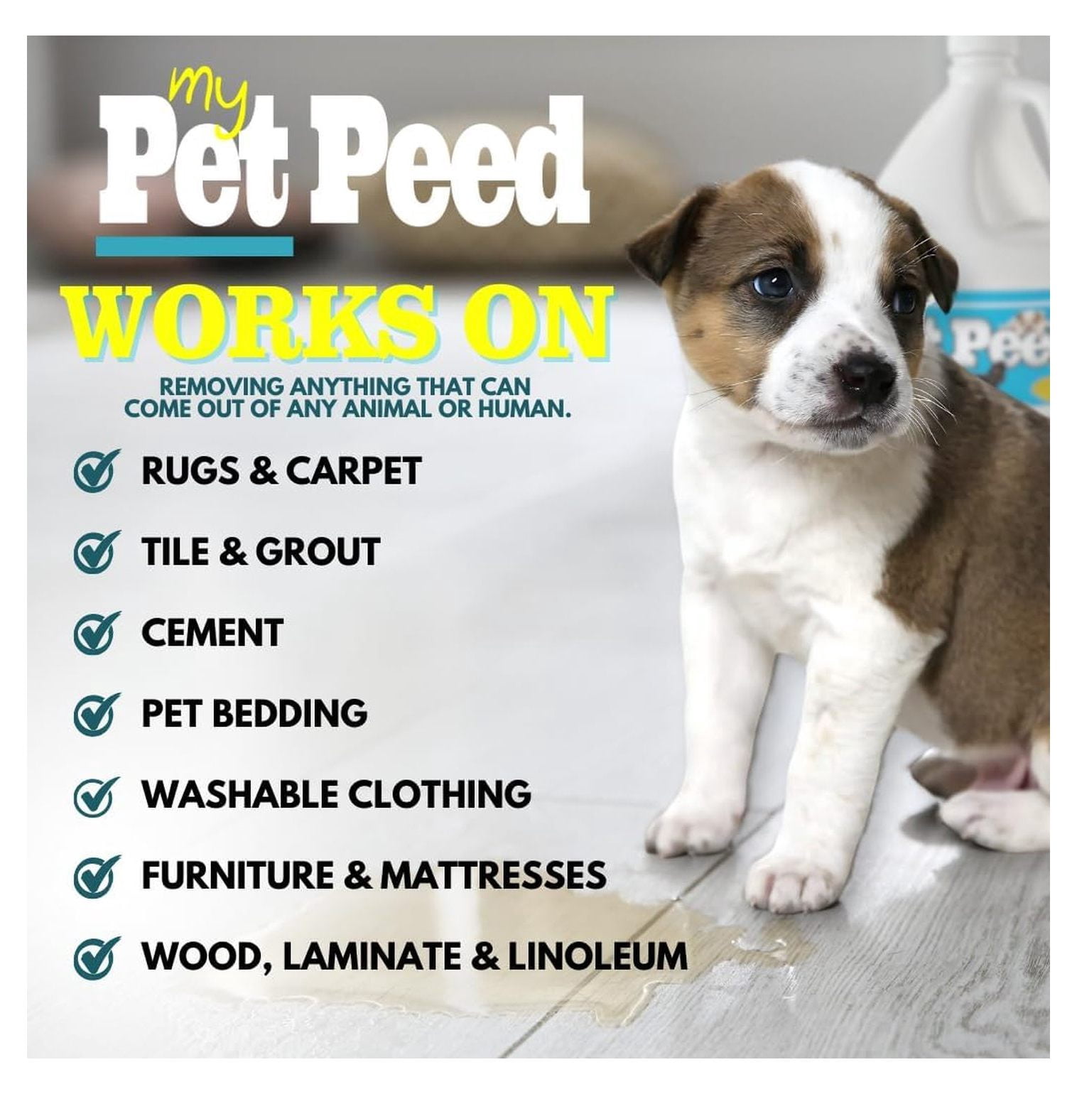 Pet Stain & Odor Remover Refill - 1 Gallon - Powerful Enzyme Cleaner for Dog & Cat Accidents, Safe for Pets & Plants - No Scrubbing