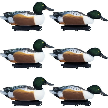Final Approach Live Fully Flocked Northern Shovelers Floating Duck Decoys 6 Pack