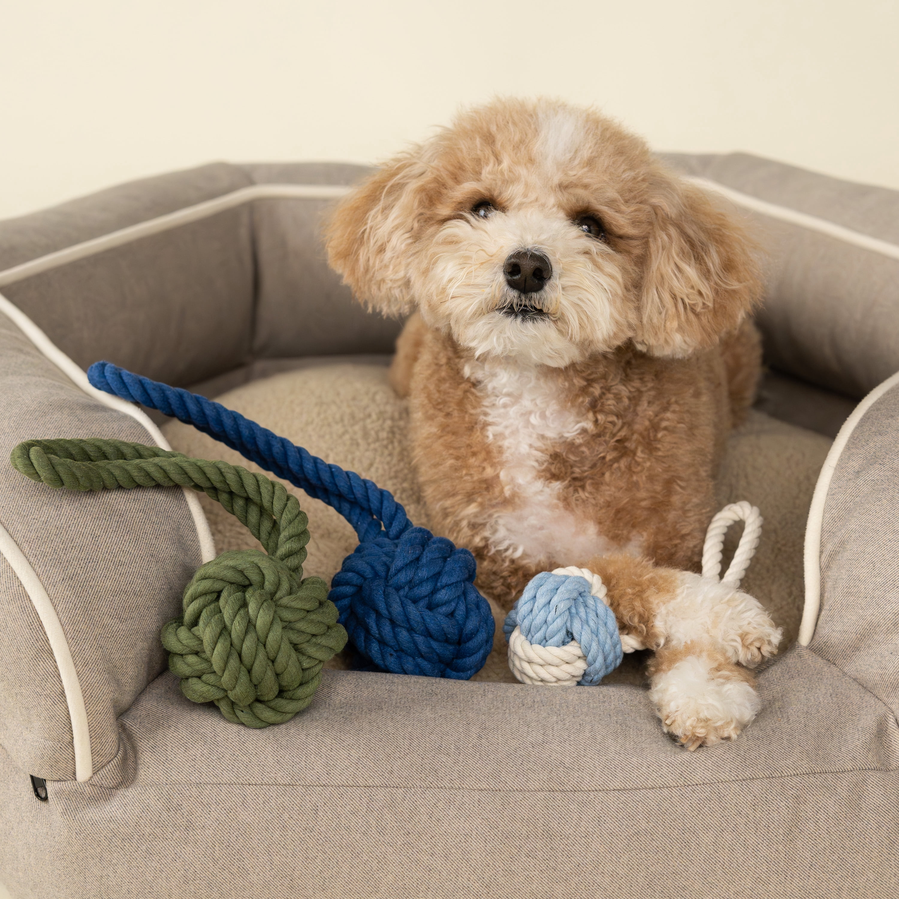 Harry Barker Tug & Toss Large Cotton Rope Pet Toy in Green
