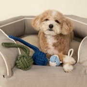 Harry Barker Tug & Toss Large Cotton Rope Pet Toy in Green
