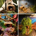 thumbnail image 2 of Accesorios para Terrarios MUYG Escondite de Coco para Gecko Crestado con Escalera, 2 of 8