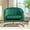Green, variant on US Pride Furniture Modern Accent Armchair Luxury Gold Frame and Multi-colored Velvet Material Infuse Elegant Flair Rose
