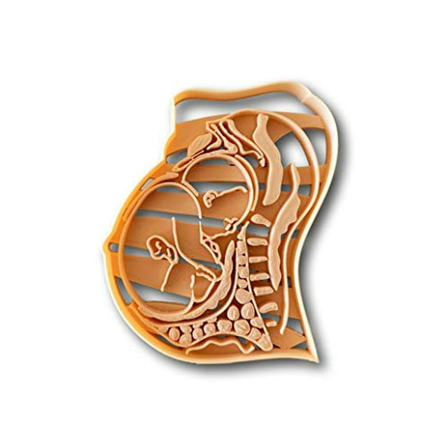 Pregnant womb fetus anatomy Cookie Cutter- Fast Shipping - Sharp Edges - Exceptional Quality
