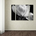 thumbnail image 3 of Michael Harrison 'Gardenia' Multi Panel Art Set Large, 3 of 3