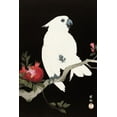 thumbnail image 2 of Koson, Ohara 11x14 White Modern Wood Framed Museum Art Print Titled - Cockatoo and pomegranate, 2 of 4