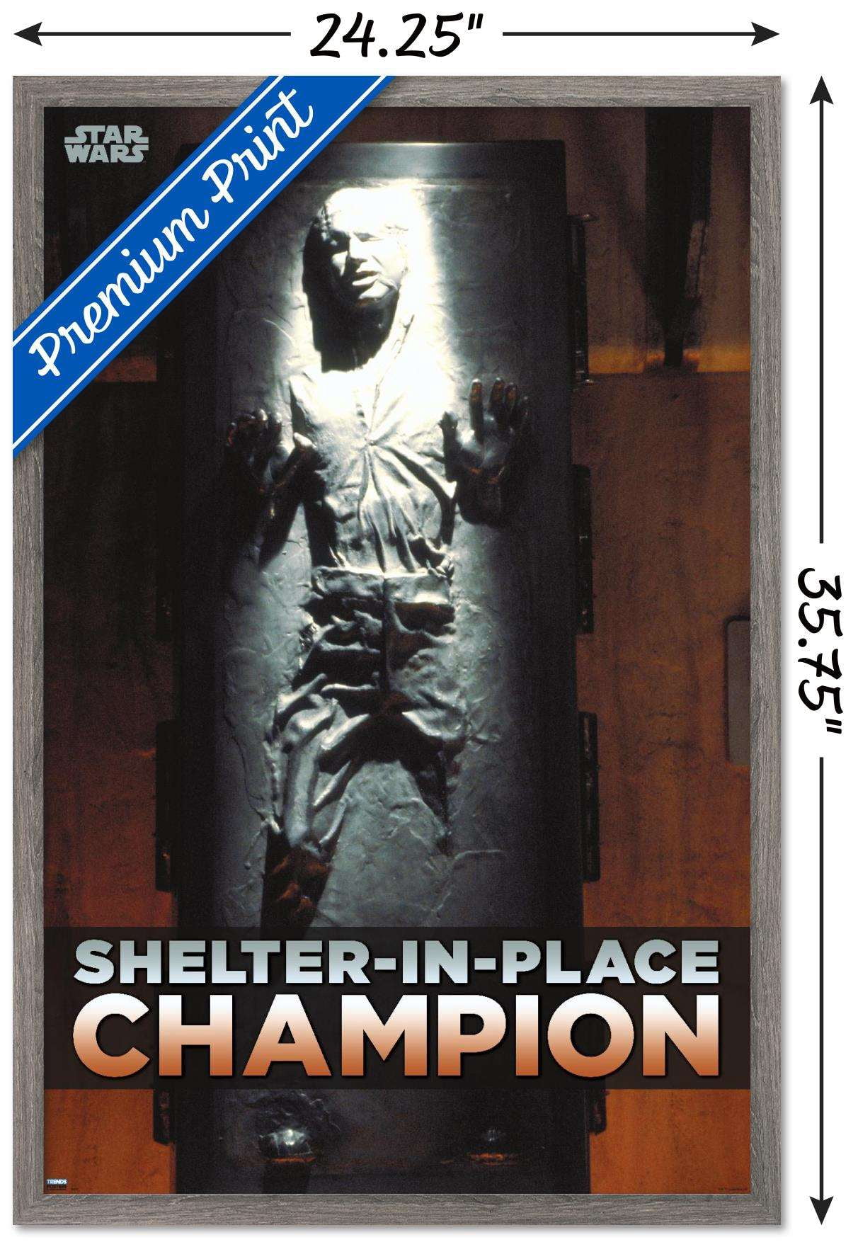 Star Wars: Saga - Han Solo - Shelter In Place Wall Poster, 22.375" x 34", Framed