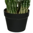 thumbnail image 5 of Vickerman FO190131 31 in. Green Potted Cactus Plastic Planter Pot, 5 of 5