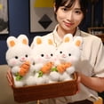 thumbnail image 4 of PPgejGEK 10.2-inch Hugging Carrot White Bunny Plush Toy Girls Sleeping Companion Doll, 4 of 6