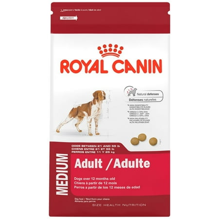 Royal Canin Adult Medium Breed Dry Dog Food, 17 (Best Dog Food For Medium Dogs)