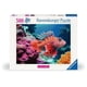 thumbnail image 1 of Rompecabezas Ravensburger Red Lionfish, 500 piezas, 49 x 36 cm, 1 of 5