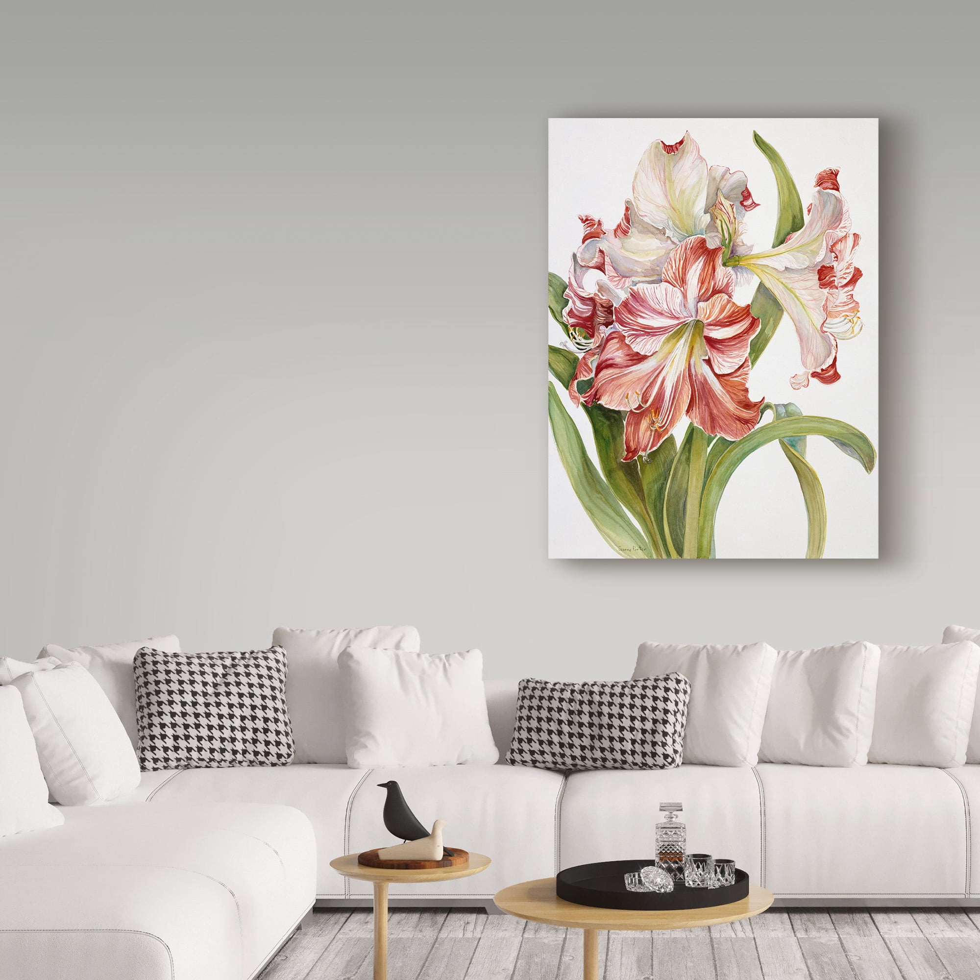 Trademark Fine Art 'Red And White Amaryllis' Canvas Art by Joanne Porter