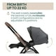 thumbnail image 4 of Chicco Mysa Black Satin 0+m Hasta 22 Kg 5 Puntos, 3 Ajustabl, 4 of 10