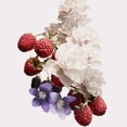 thumbnail image 3 of Set de perfume Burberry Mini Her & Goddess Eau de Parfum, 5 ml, 3 of 5