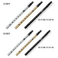 thumbnail image 4 of WEISIPU 6 Hole Flute C/D Key Irish Whistle Ireland Tin Penny Whistle Flute Musical Instruments for Beginners, 4 of 7