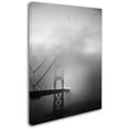 thumbnail image 2 of Trademark Fine Art "Golden Gate and Birds" Canvas Art by Moises Levy, 2 of 3