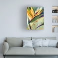 thumbnail image 2 of Trademark Art "Bird of Paradise" Canvas Wall Art by Shelia Golden, 2 of 5