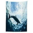 thumbnail image 3 of Ambesonne Animal Print Tablecloth Rectangular Table Cover, Swimming Dolphin, 60"x90", Blue Grey, 3 of 4