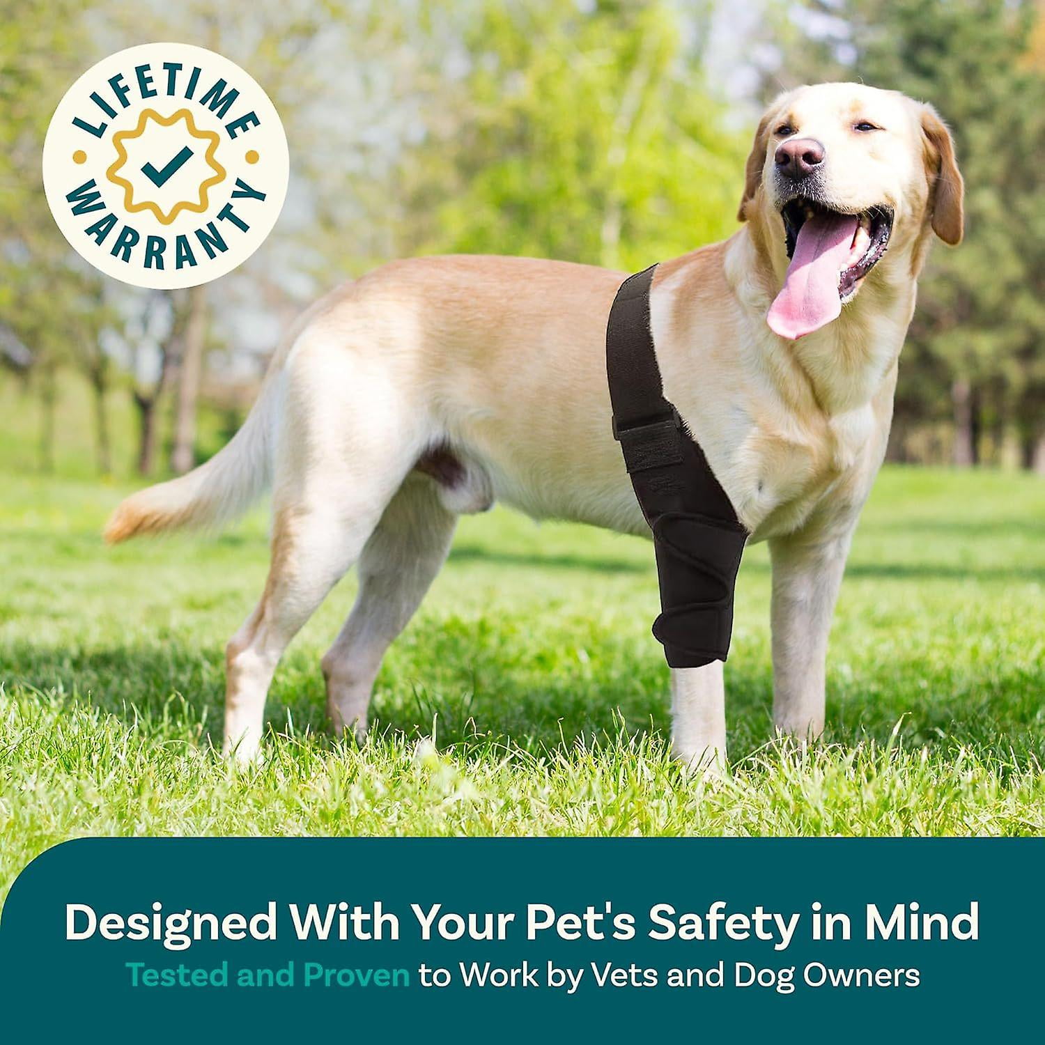 Dog knee brace walmart deals