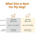 thumbnail image 2 of 2-Door Top-Load Hard-Sided Pet Travel  for Cats & Dogs, Gray & Blue, 2 of 11