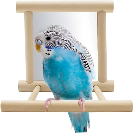 BESTSKY Bird Parrot Mirror Toy Swing Hanging with Perch for Parrot Parakeet Budgies Cockatiel Conure Finch Lovebird (D)