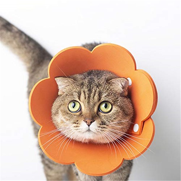 Cat Recovery Collar Soft Pet Cone Collar Protective Sunflower Cone Adjustable Fasteners Collar For Cat And Puppy Orange Walmart Com