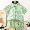 thumbnail image 5 of ANINEO Boys Summer Outfit Sets Tropical Beach Theme Short Sleeve Lapel Shirt And Shorts Comfy Casual Two Piece For Kids Versatile Child Clothes Sets, 5 of 5