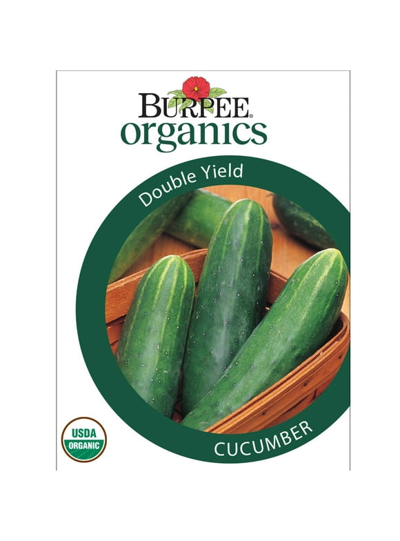 Cucumber Seeds in Seed Gardening