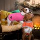 thumbnail image 2 of Abrigo reversible de forro polar para perros Loft para clima frío, chaqueta impermeable para mascotas disponible en talla XS., 2 of 5