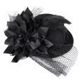 thumbnail image 1 of Burlesque Womens Hair Clip NET// Fancy Dress Baoblaze Señoras Mini, 1 of 7