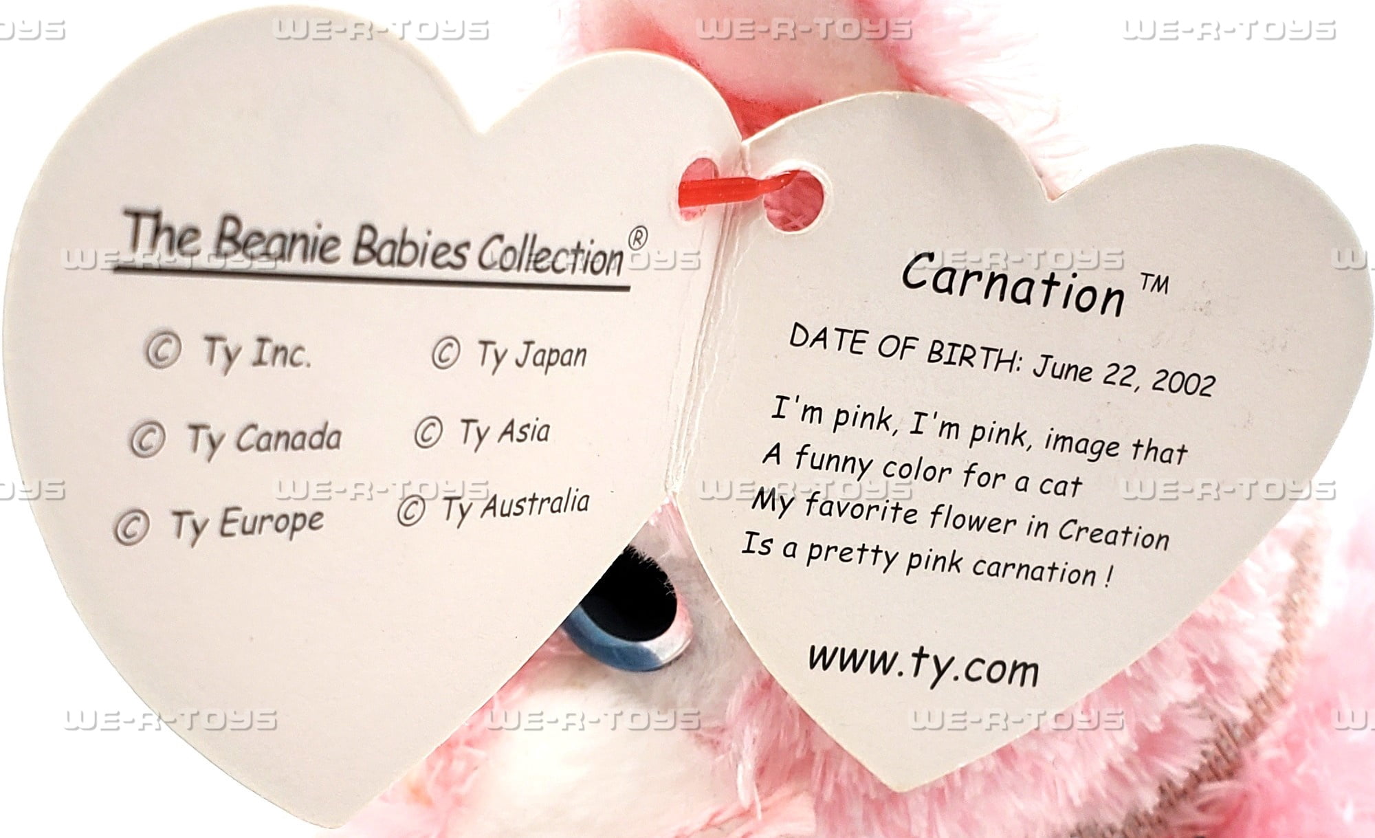 Ty Beanie Baby: Carnation the Cat | Stuffed Animal | MWMT