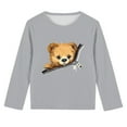 thumbnail image 5 of BRGZLK Kids Long Sleeve T-Shirts Boys Girls Cute Cartoon Bear Graphic Blouses Loose Casual Crewnecks Pullover Tops Gray 3-4 Years, 5 of 5