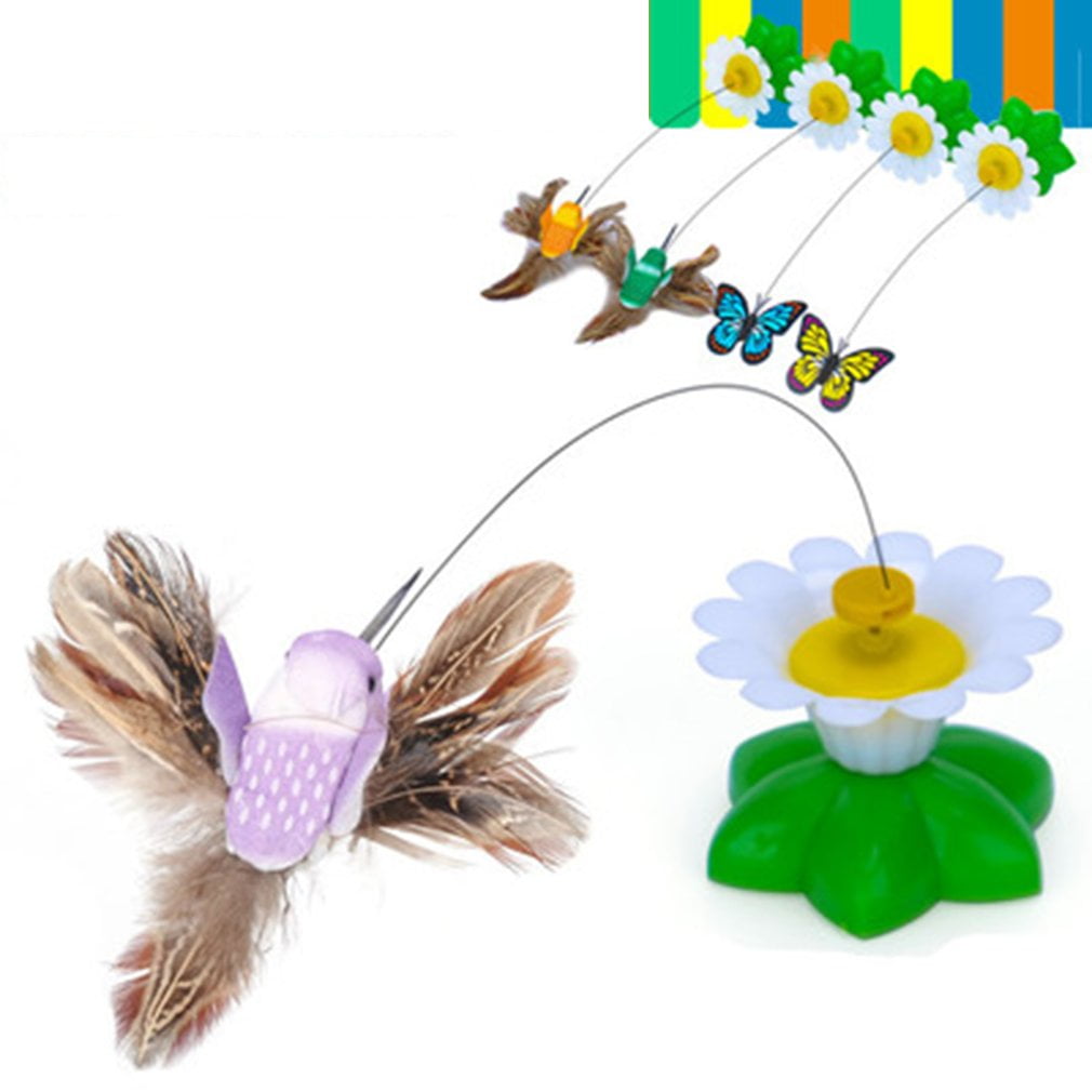 hummingbird cat toy