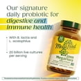 thumbnail image 4 of MegaFood MegaFlora Probiotic - Digestive & Immune Support - Vegetarian - 30 Servings, 4 of 9