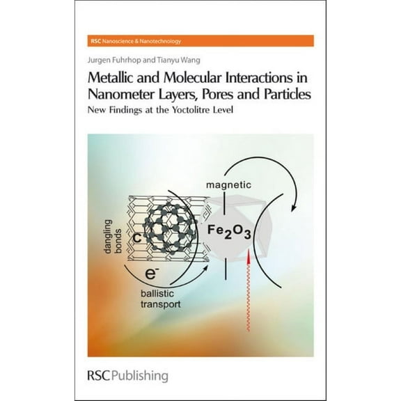 Nanoscience & Nanotechnology Metallic and Molecular Interactions in Nanometer Layers, Pores and Particles: New Findings at the Yoctolitre Level, Book 10, (Hardcover)