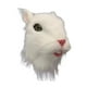 thumbnail image 4 of Máscara de cabeza de ratón, cubierta de cabeza completa, casco para hombres y mujeres, máscara de látex para animales, 4 of 8