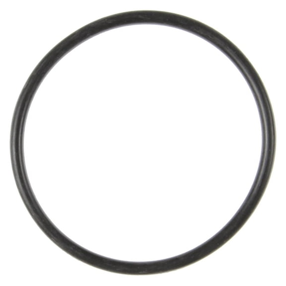 Engine Oil Cooler Gasket