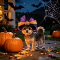 thumbnail image 7 of Qocolcyl Halloween Pumpkin Witch Hat for Small Dogs Cats, Soft Polyester Pet Costume Headband, Adjustable Cute Pet Photo Prop, Indoor Outdoor Holiday Trick Or Treat Halloween Decorations Accessories, 7 of 7