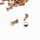 thumbnail image 3 of 100 juegos de tapas dobles Studs Remaches para bolsas Zapatos de cuero 6x10mm Light Gold Sunnimix Remaches de doble espárragos, 3 of 8