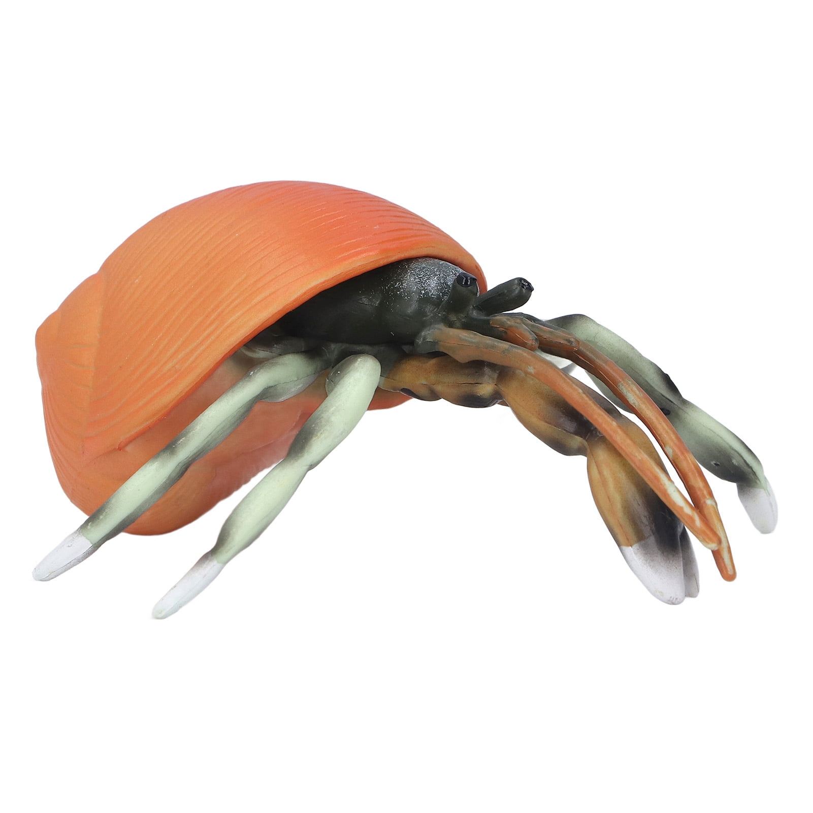 Sea Life Animals Model Toy Vivid Lifelike Appearance Simulated Hermit Crab Model For Home Play
