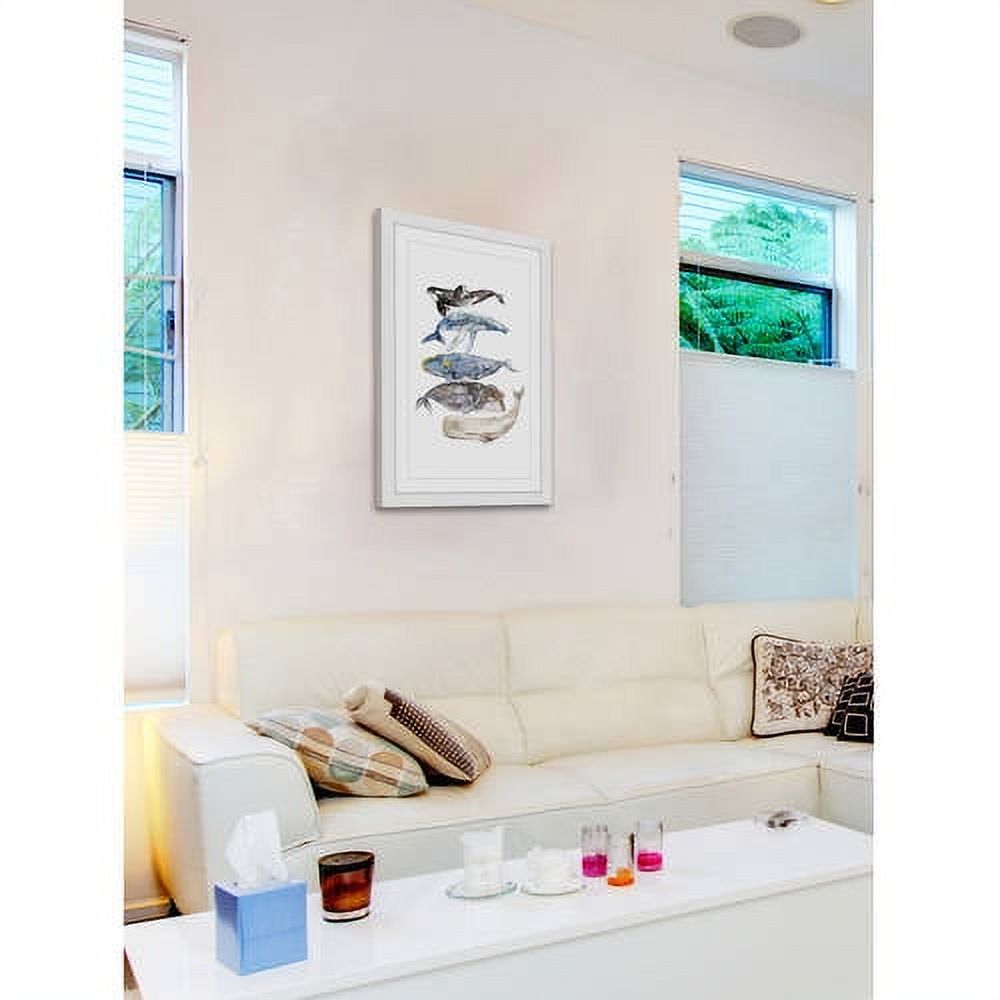 Marmont Hill "Whale Species" by Rachel Byler Framed Painting Art Print