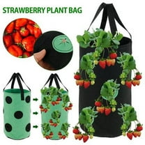 ZOELNIC Strawberry Planting Pot Container Plant Grow Bags Home Hanging Strawberry Planter Growing Bags Reusable Non-woven Fabric Black