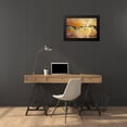 thumbnail image 4 of Bolokofsky, Ronald 24x17 Black Modern Framed Museum Art Print Titled - Desert Storm I, 4 of 5