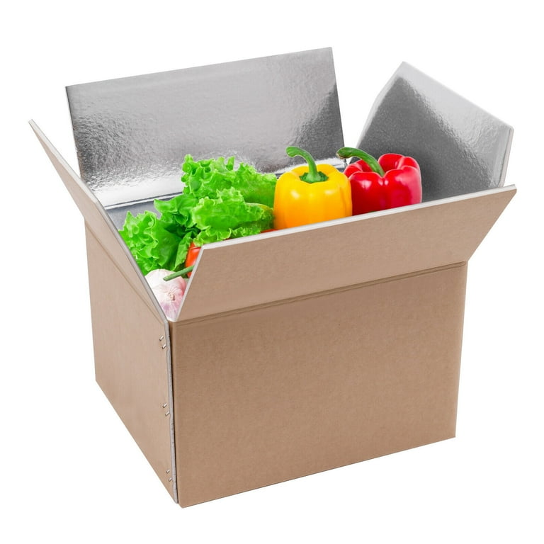 Insulated Shipping Box Large Cold Shipping Box, 30.5x25.4x20