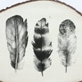 thumbnail image 3 of Feathers Printed on Tree Trunk Wall Decor, 3 of 5