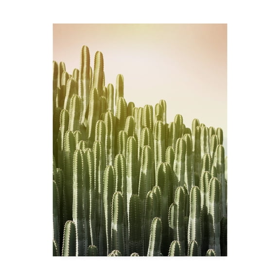 Trademark Fine Art 'Pink Sky Cactus' Canvas Art by Lexie Gree