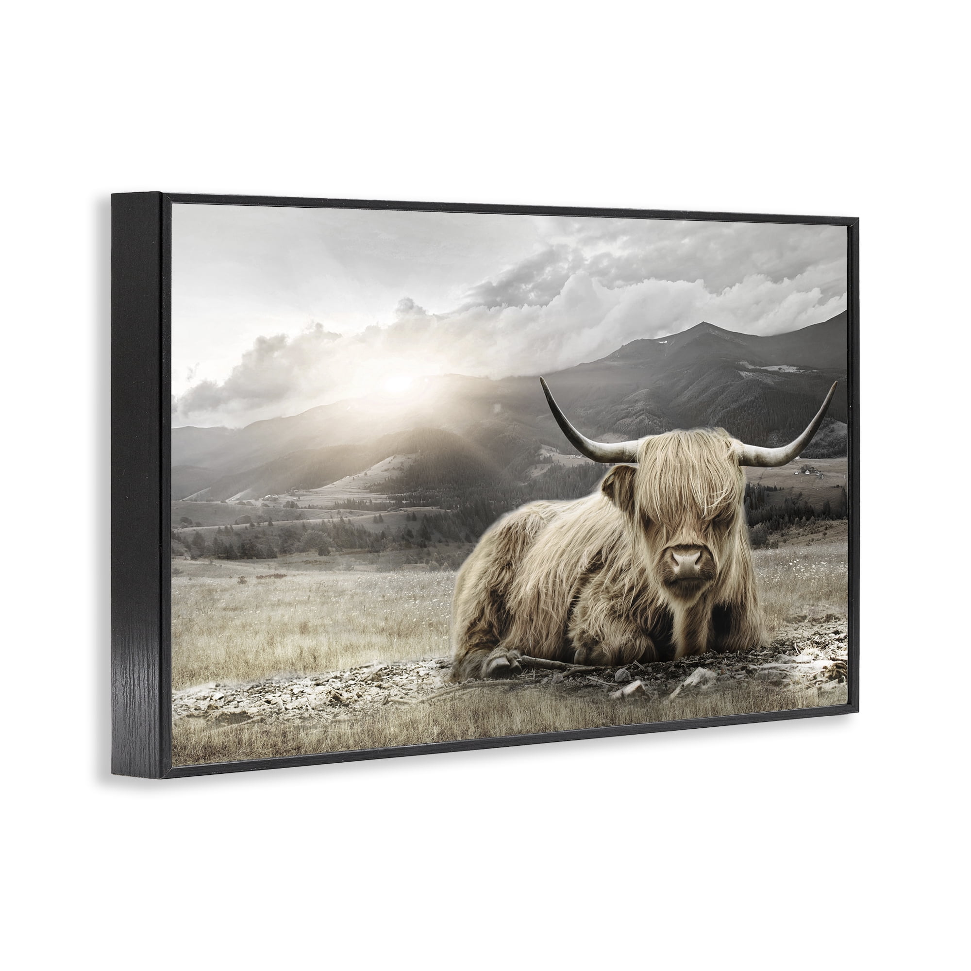 Stupell Industries Cattle Resting in Morning Sun Black Framed Giclee Art, design by CAD Designs