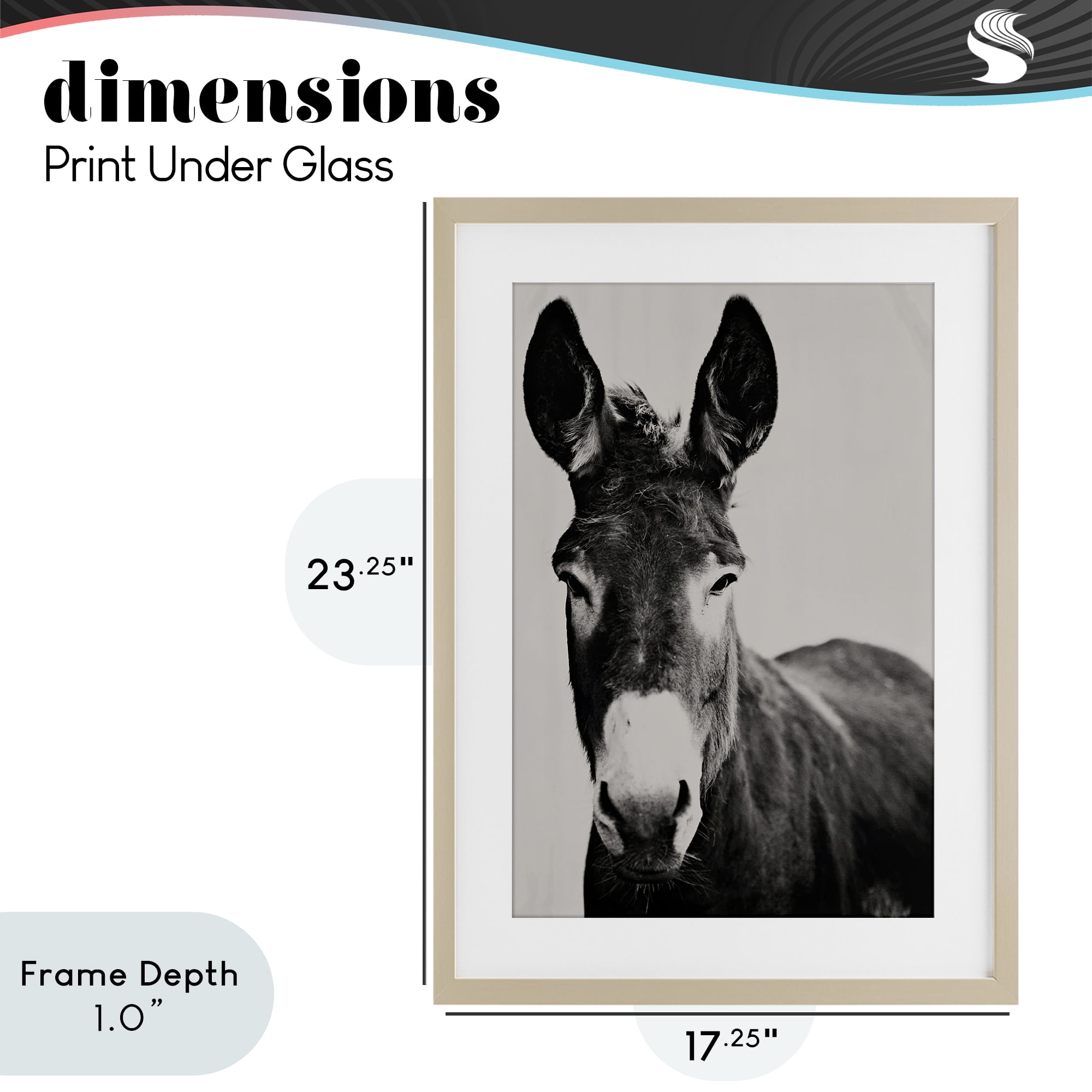 Stupell Industries Franz the Donkey Portrait Birch Framed Print Under Glass, design by Amy Carroll