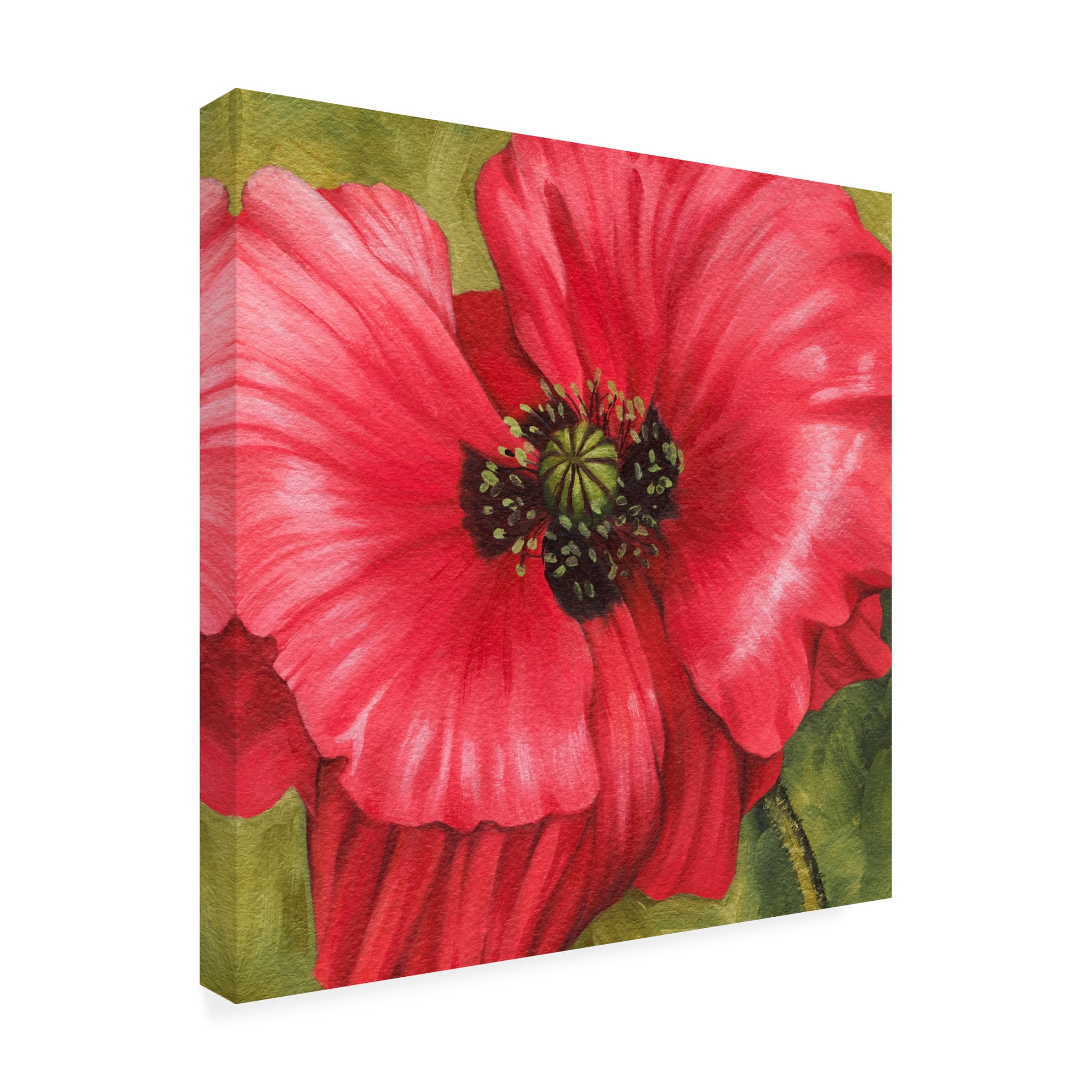 Trademark Fine Art Grace Popp Vivid Poppy II Canvas Wall Art