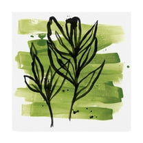 Trademark Fine Art 'Tropical Sumi e VI' Canvas Art by June Erica Vess