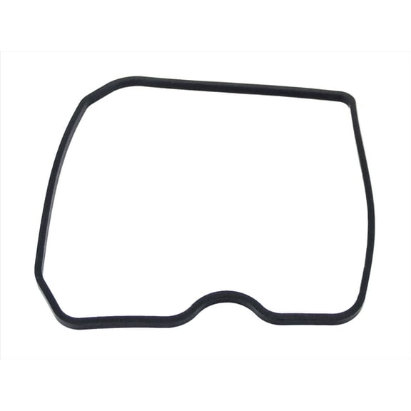 THE DUKE'S FUEL TANK GASKET FITS MCCULLOCH PM PRO MAC 10-10 AND MORE